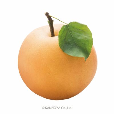 和梨