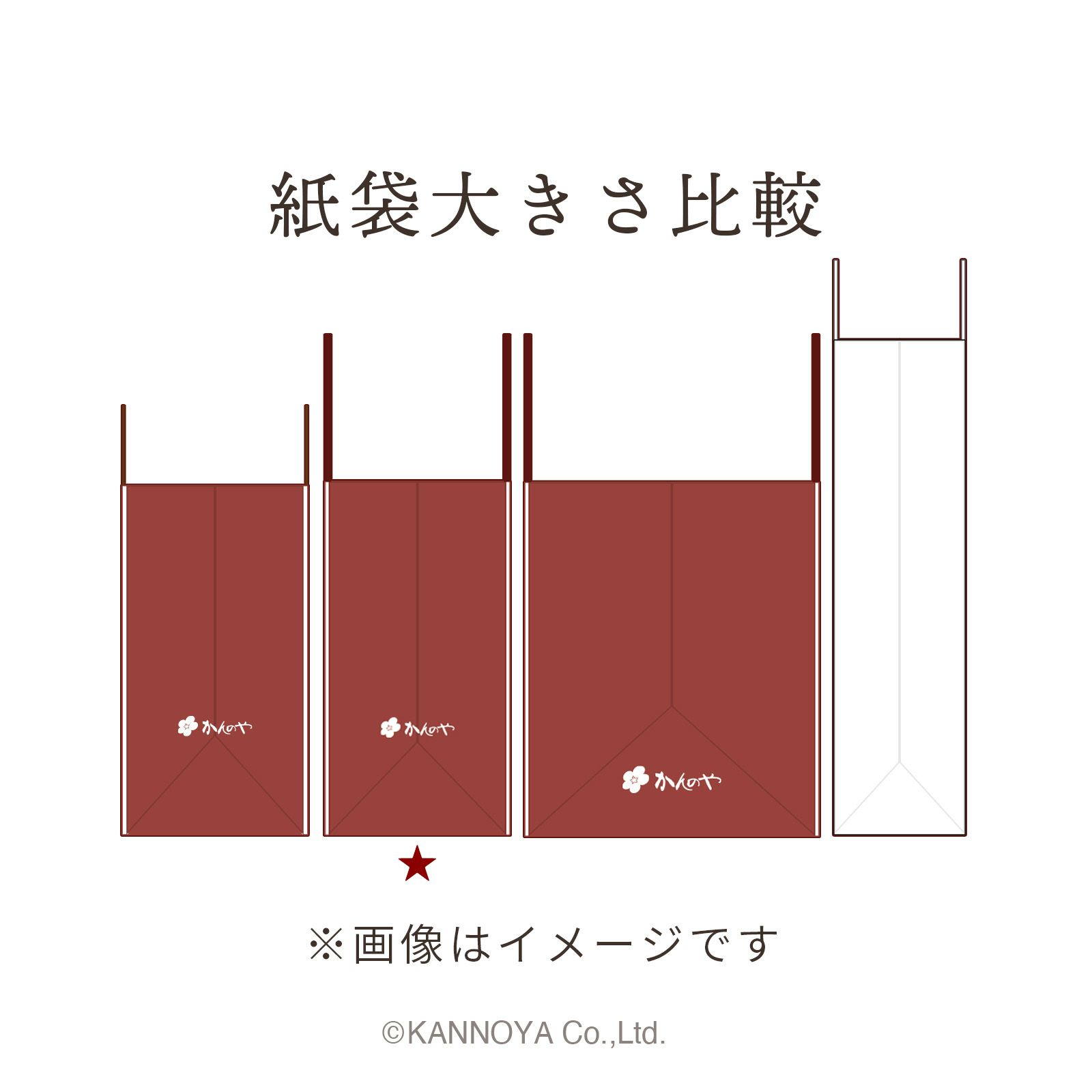 紙袋 大きさ比較イメージ　側面