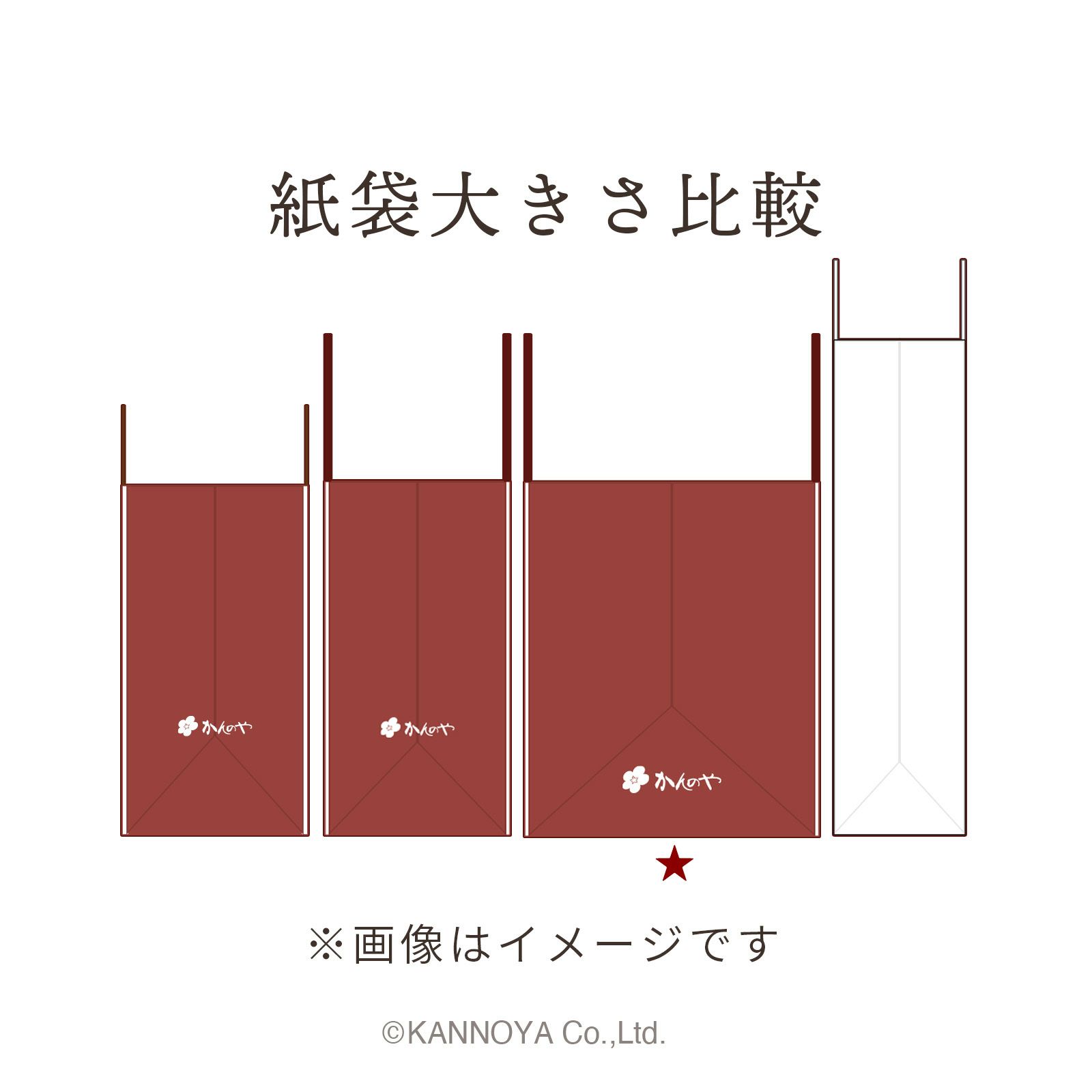 紙袋 大きさ比較イメージ　側面