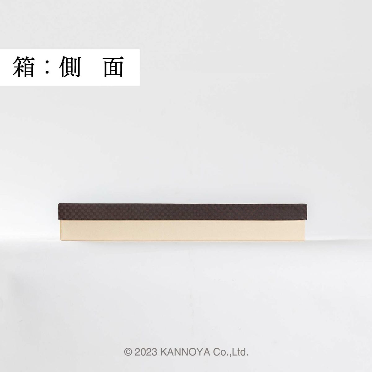 側面のイメージ